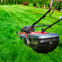Lawn Mowing