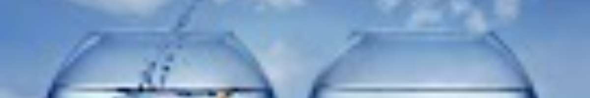 Freedom Family Law Banner