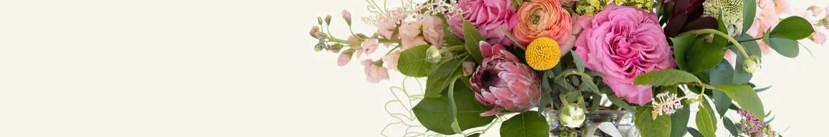 Novapetal NYC Flower Delivery Banner