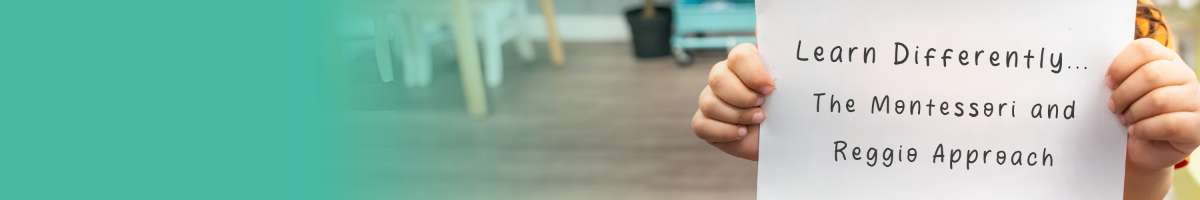 Little Scribblers Kindergarten Banner