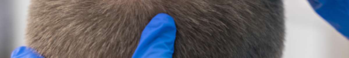 Palm Beach HealthWorks - Plantation | Hair Consultations Banner