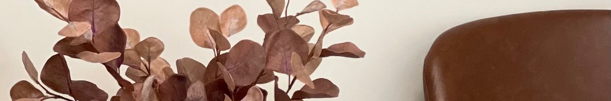 Mindnest Counselling Banner