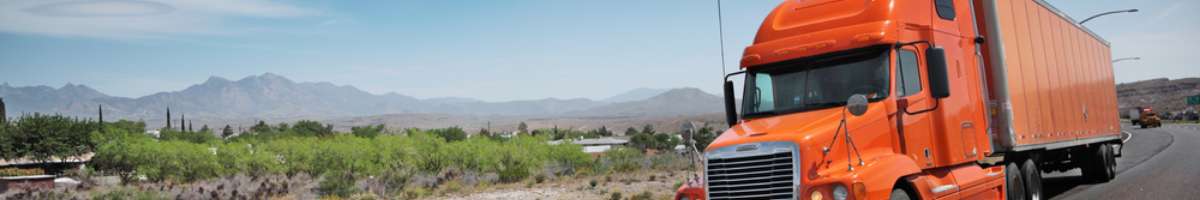 Trek Removals Banner