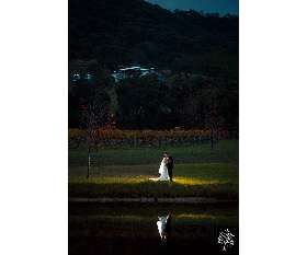 Tree Photo & Video Studio