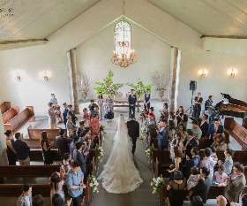 Tree Photo & Video Studio