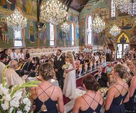 Tree Photo & Video Studio