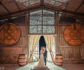 Tree Photo & Video Studio