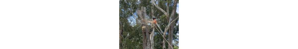 Treecycling Tree Services Banner