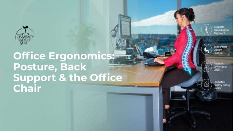 Office Ergonomics: Posture, Back Support & the Office Chair