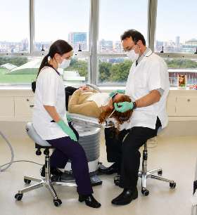 Ergonomic Chair - For Dentist