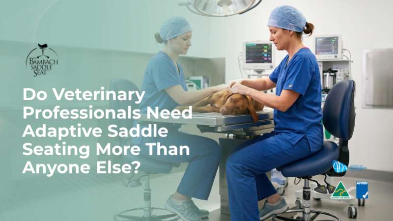 Do Veterinary Professionals Need Bambach Saddle Seating More Than Anyone Else?