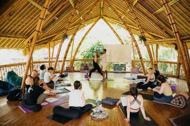 From Stillness to Flow: Understanding Hatha and Vinyasa Yoga