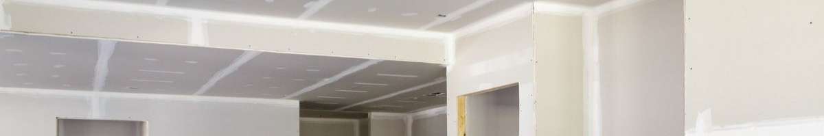 Plasterer Brisbane Banner