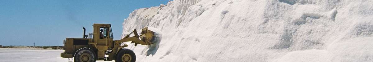 Canada Salt Group Ltd Banner
