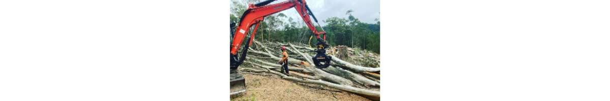 Buderim Tree Works Banner