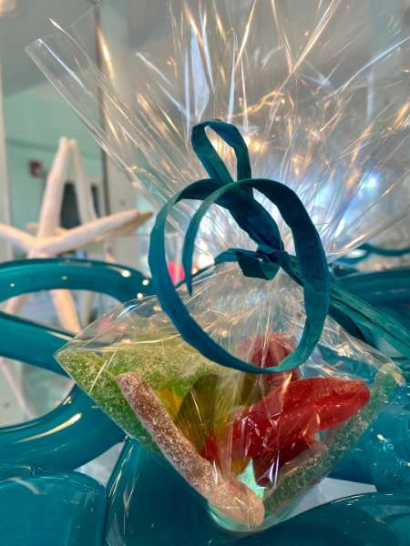 Swedish Candy WEDDING Corporate gift, Teachers Appreciation, Recital gift, Graduation Petit Candy Ba