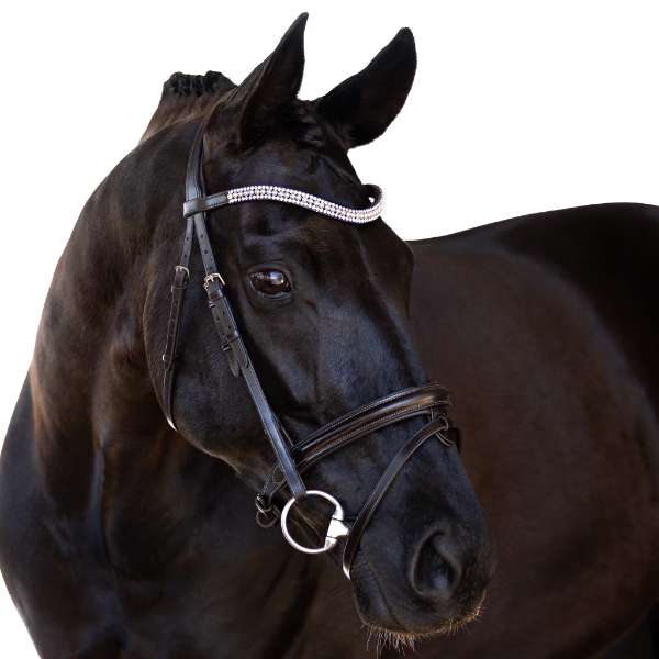 Browbands
