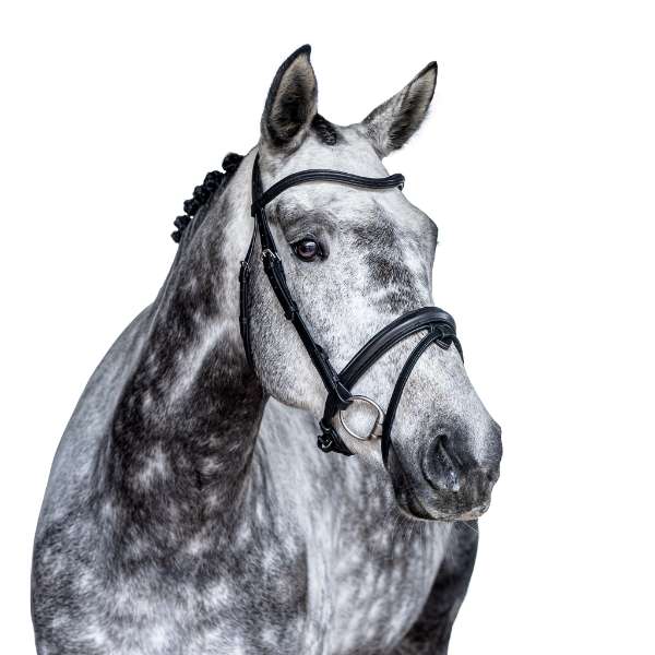Nosebands