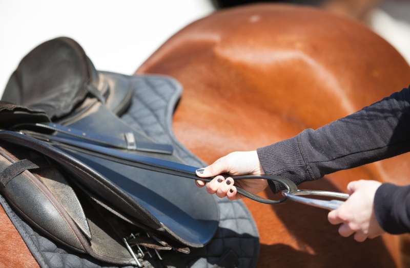 How to Choose the Right Horse Tack for Comfort and Performance