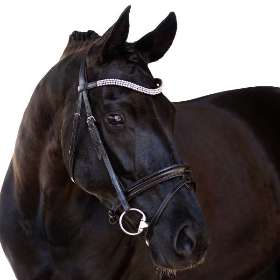 Browbands