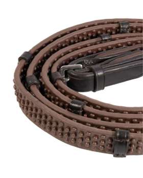 Reins
