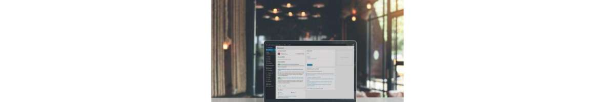 Blue Kelpie Web Design Banner