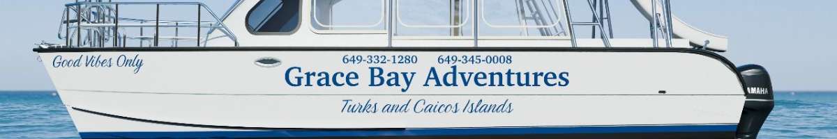 Grace Bay Adventures Banner