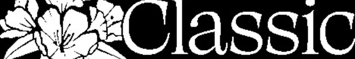 Classic Landscaping Banner