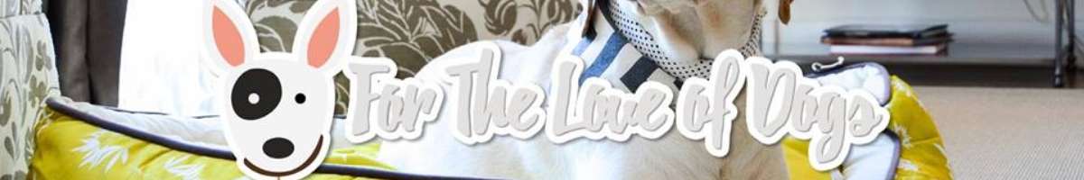 For The Love of Dogs Australia Banner