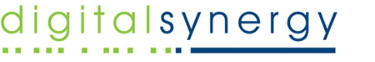 Digital Synergy Banner