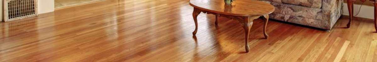 Vinyl Floor Care Banner