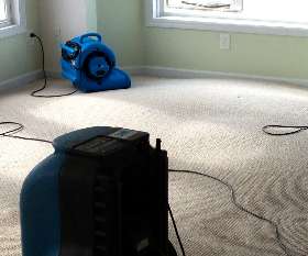Vinyl Floor Care