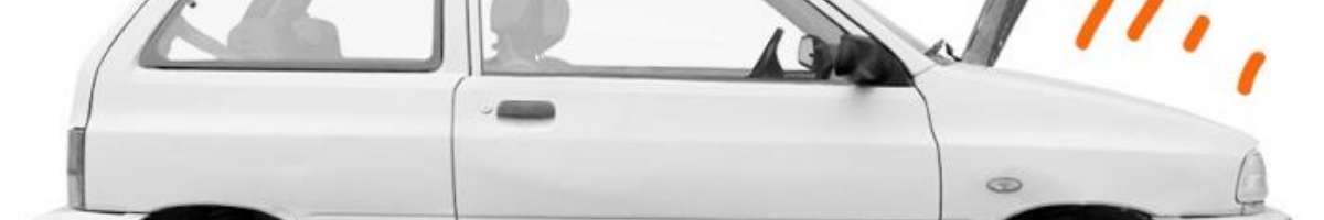 Speckle Banner