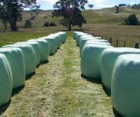 Silage Wrap