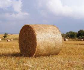 Silage Wrap