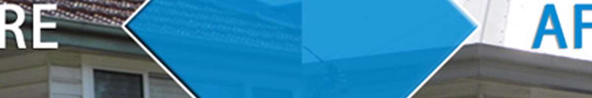 Blue Tongue Roofing Banner