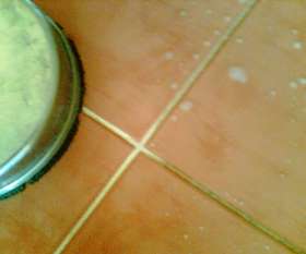 All Weather Carpet & Tile Cleaning