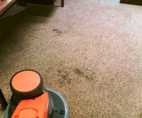 All Weather Carpet & Tile Cleaning