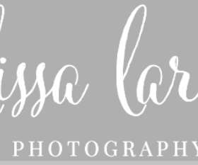 Melissa Larson Photography