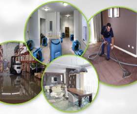  Carpet Restoration Company - Water Damaged Carpet - Capital Restoration Cleaning