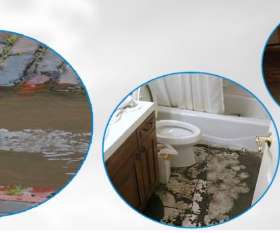  Carpet Restoration Company - Water Damaged Carpet - Capital Restoration Cleaning