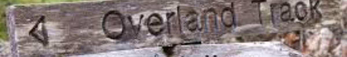 SOUTHERN BREESE Banner
