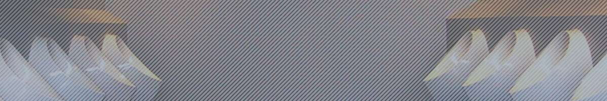 The Urinal Shop Banner