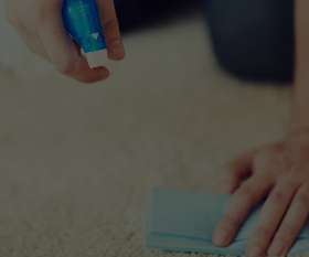 Perth Carpet Cleaning