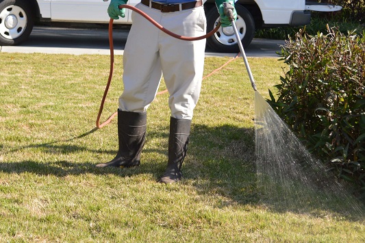 What are the advantages of hiring a pest control service?