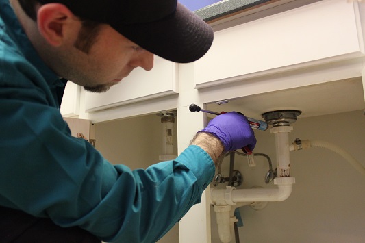 The Advantages of Professional Pest Control