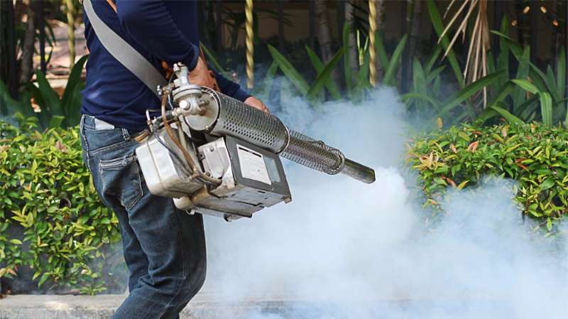 Importance of Pest Control for Homeowners
