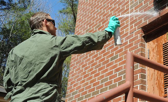 Eliminate Pests by Hiring Professional Pest Control