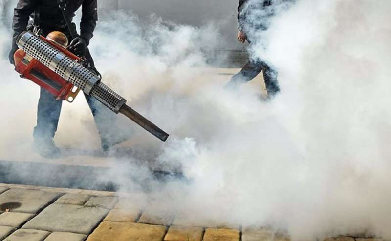 The Best Termite Treatment for your Home