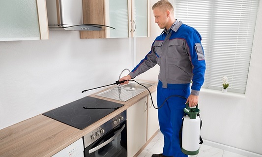 Reasons Why Pest Control Treatments are Necessary